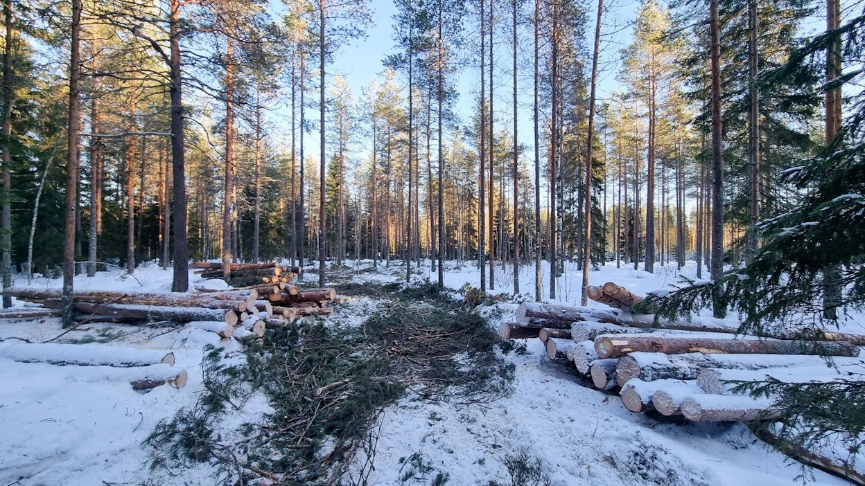 Yrityksen suurin päästönlähde oli metsäkoneiden päästöt.