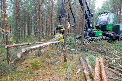 Eduskunnan maa- ja metsätalousvaliokunnan keskustajäsenenet puolustavat kaikkia hakkuutapoja eli harvennuksen ja jatkuvan kasvatuksen lisäksi myös avohakkuuta.