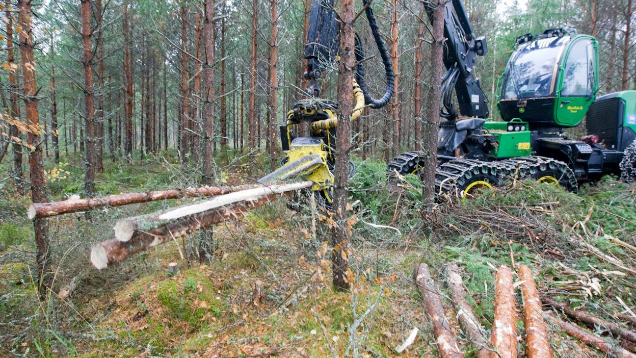 Eduskunnan maa- ja metsätalousvaliokunnan keskustajäsenenet puolustavat kaikkia hakkuutapoja eli harvennuksen ja jatkuvan kasvatuksen lisäksi myös avohakkuuta.