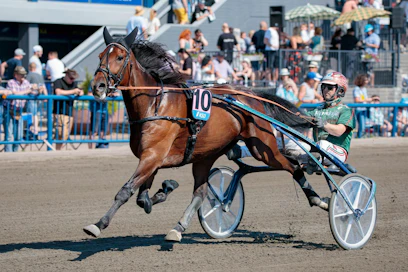 Hannu Torvinen ohjasti Timo Nurmoksen valmentamaa Seismic Wavea Kymi GP:ssä. Solängetissä rattaille hyppää Örjan Kihlström.