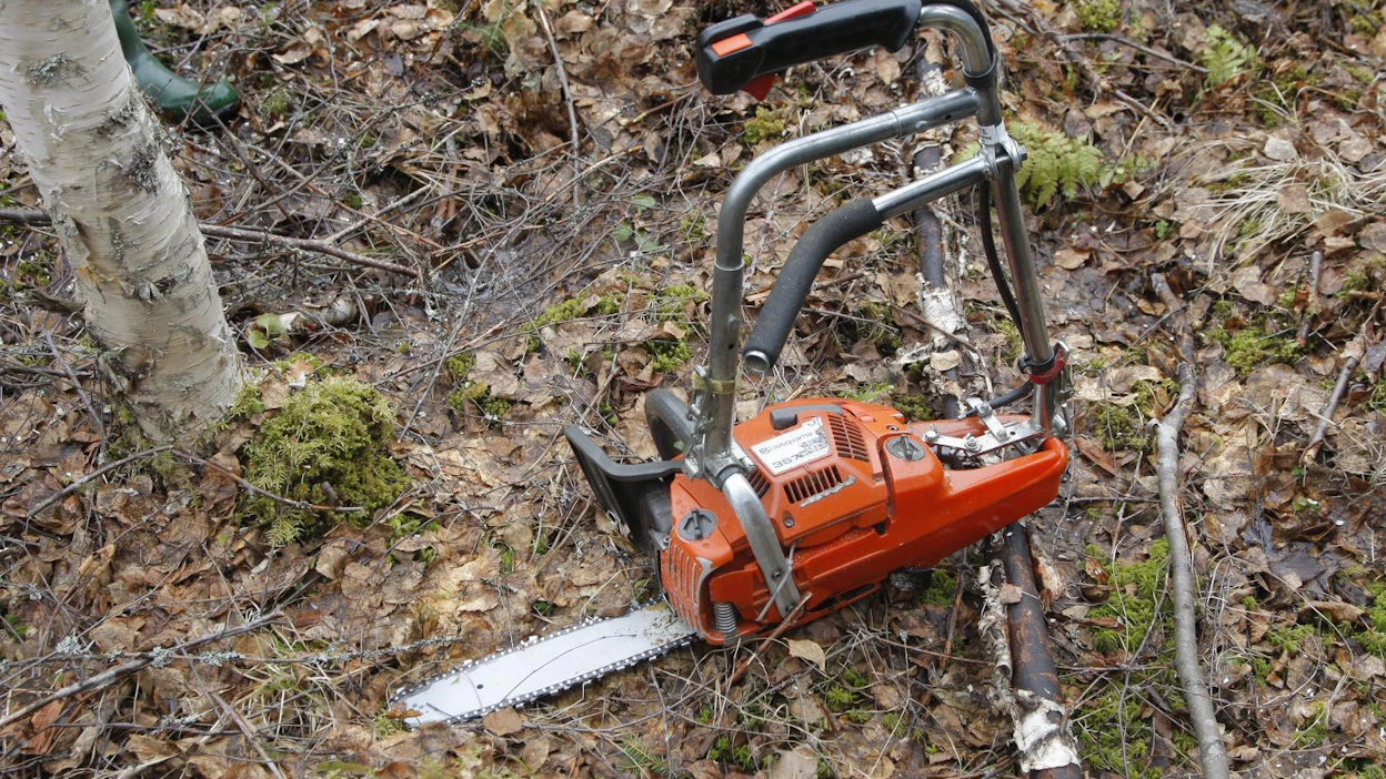 Laitosten polttoaineista 60 prosenttia on metsäteollisuuden sivuvirtoja ja 40 prosenttia metsänhoidon sivutuotteita sekä ainespuukorjuun tähteitä