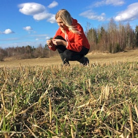 Anu Ellä kehottaa tarkastamaan kaikki nurmet. Länsi-Suomen nurmet näyttävät asiantuntijan silmin viime talven jäljiltä todella hyviltä.