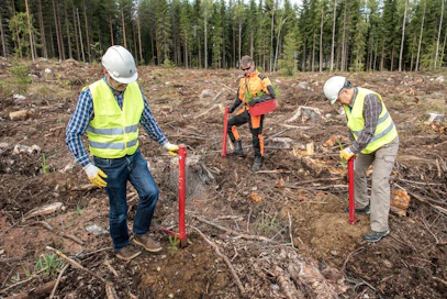 EU-maiden johtavat metsävirkamiehet tutustuivat suomalaiseen metsätalouteen UPM:n metsätilalla Mäntsälässä tiistaina. Kuvassa Fergus Moore Irlannista (vas.) ja András Szepesi Unkarista kokeilivat pottiputkella istuttamista. Taustalla Jukka Hapulahti UPM:ltä.