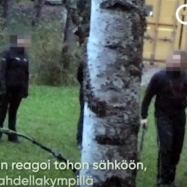 Kuvakaappaus Oikeutta eläimille -yhdistyksen julkistamalta videolta, jolla näkyy käytettävän väkivaltaisia menetelmiä suojelukoirien koulutuksessa Suomessa. LEHTIKUVA/HANDOUT