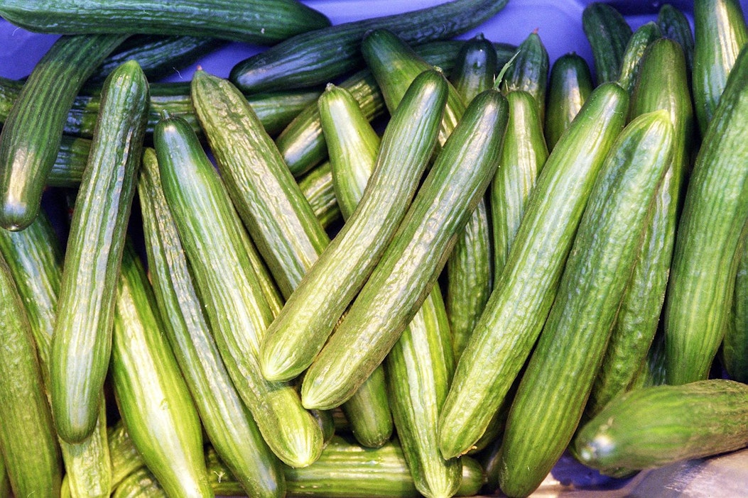 Kasvihuonekurkku maistuu suomalaisille.