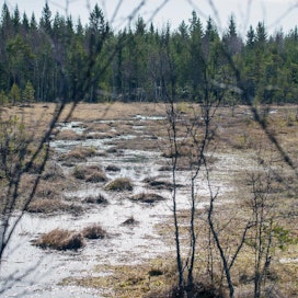 &quot;Tasapainoa kovenevan talouskäytön ja suojelun välillä on järkevää parantaa&quot;, Risto Sulkava Suomen luonnonsuojeluliitosta kertoo.