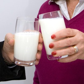 Tummelia käytetään enää harvalla maitotilalla. On epätodennäköistä, että sitä päätyisi maitoon.