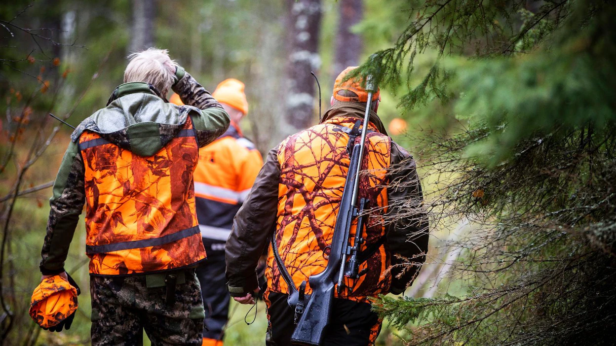 Metsästyslain 8. pykälän mukaan pohjoissuomalaiset metsästäjät saavat metsästää ilmaiseksi omassa kotikunnassaan valtion omistamilla alueilla.