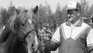 Paavo Impola 18. marraskuuta 1936 - 14. elokuuta 2021. Kauhu oli Paavo Impolan silmäterä ja elämän hevonen.