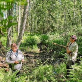 Metsäkeskuksen luonnonhoidon asiantuntija Mari Pänkäläinen esitteli Luhangassa ympäristötuella kunnostettua rehevää puronvarsikohdetta.