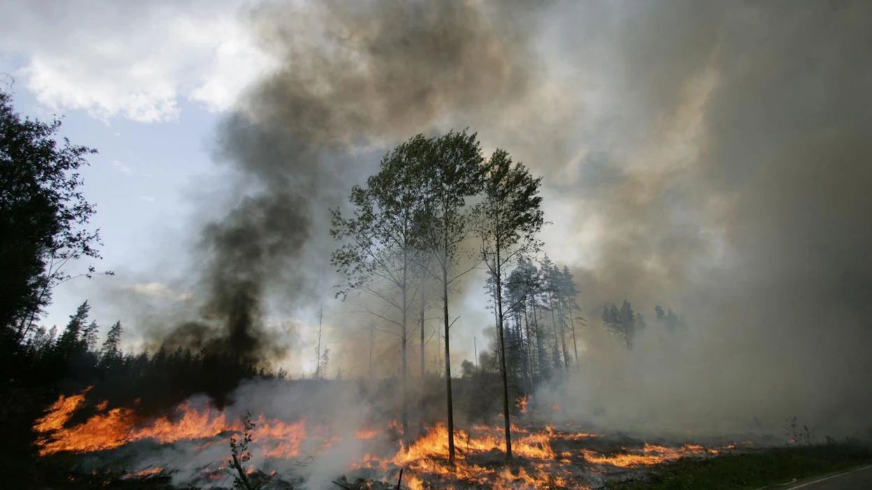 Maasto syttyy herkästi myös Suomessa. Metsäpalovaroitus on voimassa lähes koko maassa.