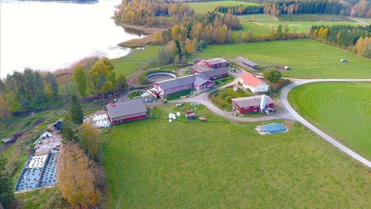 Maatilastaan luopuvat Laitiset luopuvat samalla myös Niemisjärven rantamaisemista.