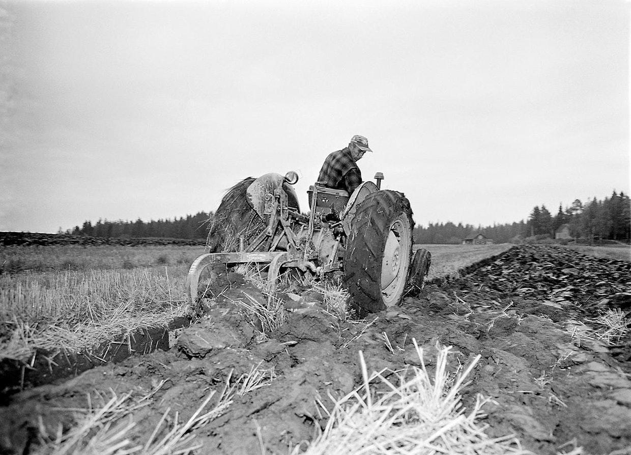 Syyskynnöt Mäntylän tilalla Nurmijärvellä 27.9.1963. Maanviljelijä Elis Bergman on traktorin ohjaimissa. Kuvaaja Erkki Voutilainen.