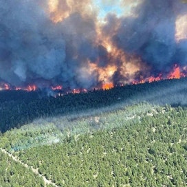 Brittiläisen Kolumbian provinssin pääministeri John Horgan kertoi, että alueella oli vuorokauden aikana havaittu yli 60 uutta maastopaloa. Kuva otettu 29. kesäkuuta. LEHTIKUVA/AFP PHOTO/BC Wildfire Service