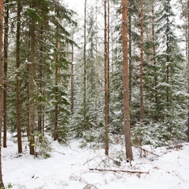 Koko hakkuualasta jatkuvan kasvatuksen hakkuut muodostivat alle 0,7 prosenttia Etelä-­Suomessa ja noin kolme prosenttia Pohjois-Suomessa.