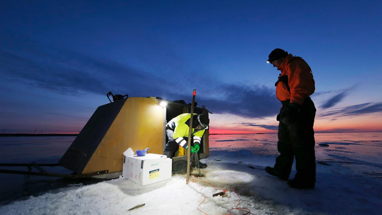 Kalastajat saavat ihailla komeaa auringonnousua kirkkaina pakkaspäivinä. Kauko Koppelo kokee verkkoa Aku Mikkosen avustaessa. Huoltokoppi Väyrynen suojaa tuulelta. Klikkaa nuolesta, niin näät lisää kuvia.