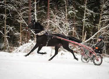 "Viimeisen parin vuoden aikana on oppinut paljon ihan tekemisen kautta. Kun määrää on paljon, sitä oppii", Kimmo Ahola sanoo. Aholan tilastot viime vuodelta löytyvät kuvakarusellista.