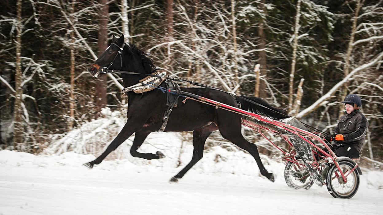 "Viimeisen parin vuoden aikana on oppinut paljon ihan tekemisen kautta. Kun määrää on paljon, sitä oppii", Kimmo Ahola sanoo. Aholan tilastot viime vuodelta löytyvät kuvakarusellista.