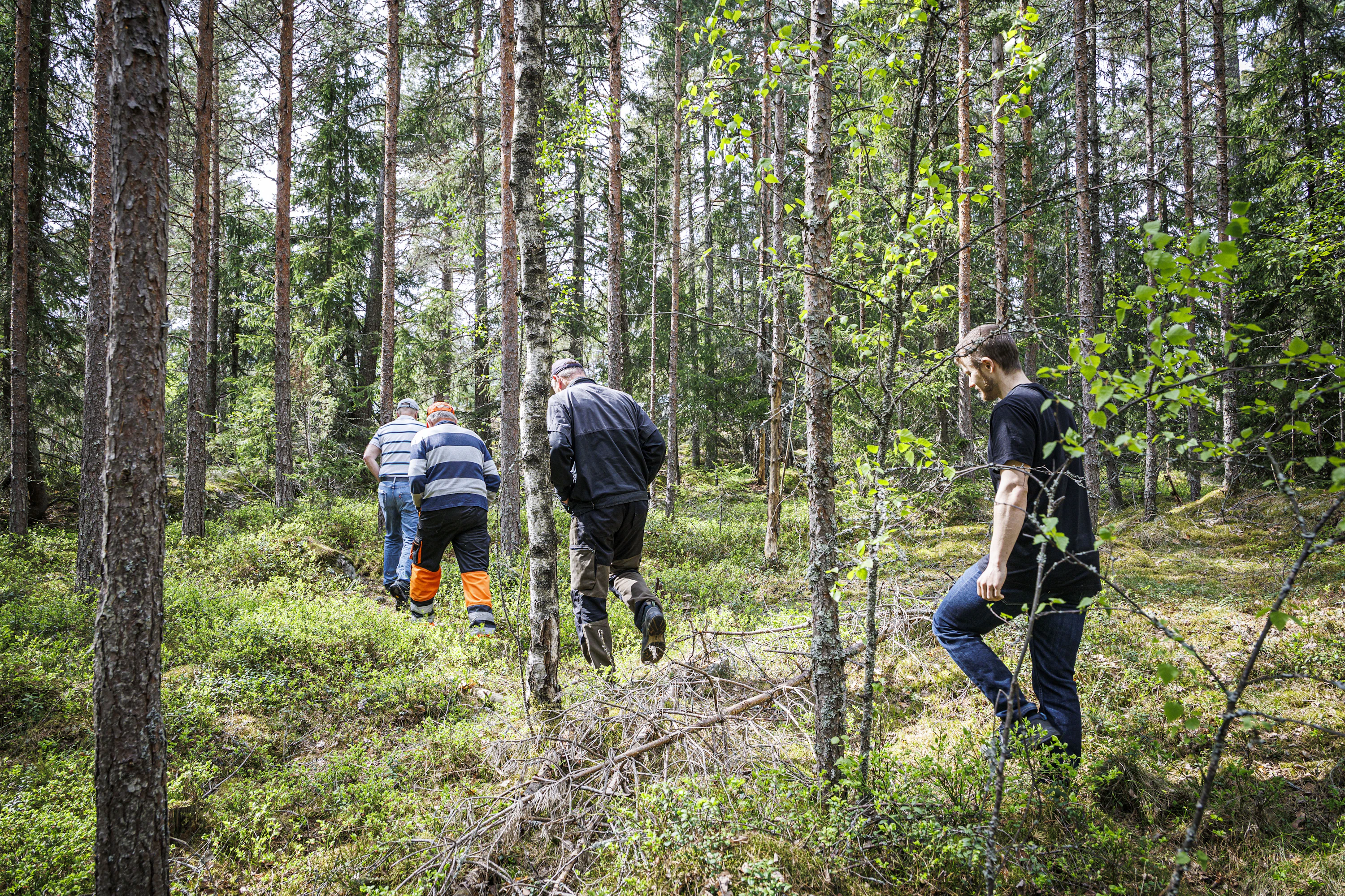 Laajeneminen ostopalstojen kautta on ollut myös hidasta, koska ostettavien metsien pitäisi sijaita lähistöllä ja olla hyväpohjaisia.