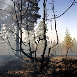 Metsäpalovaroitus on edelleen voimassa koko maassa paitsi Lapin kolmessa pohjoisimmassa kunnassa, joissa varoitetaan ruohikkopalojen vaarasta. LEHTIKUVA / Roni Rekomaa