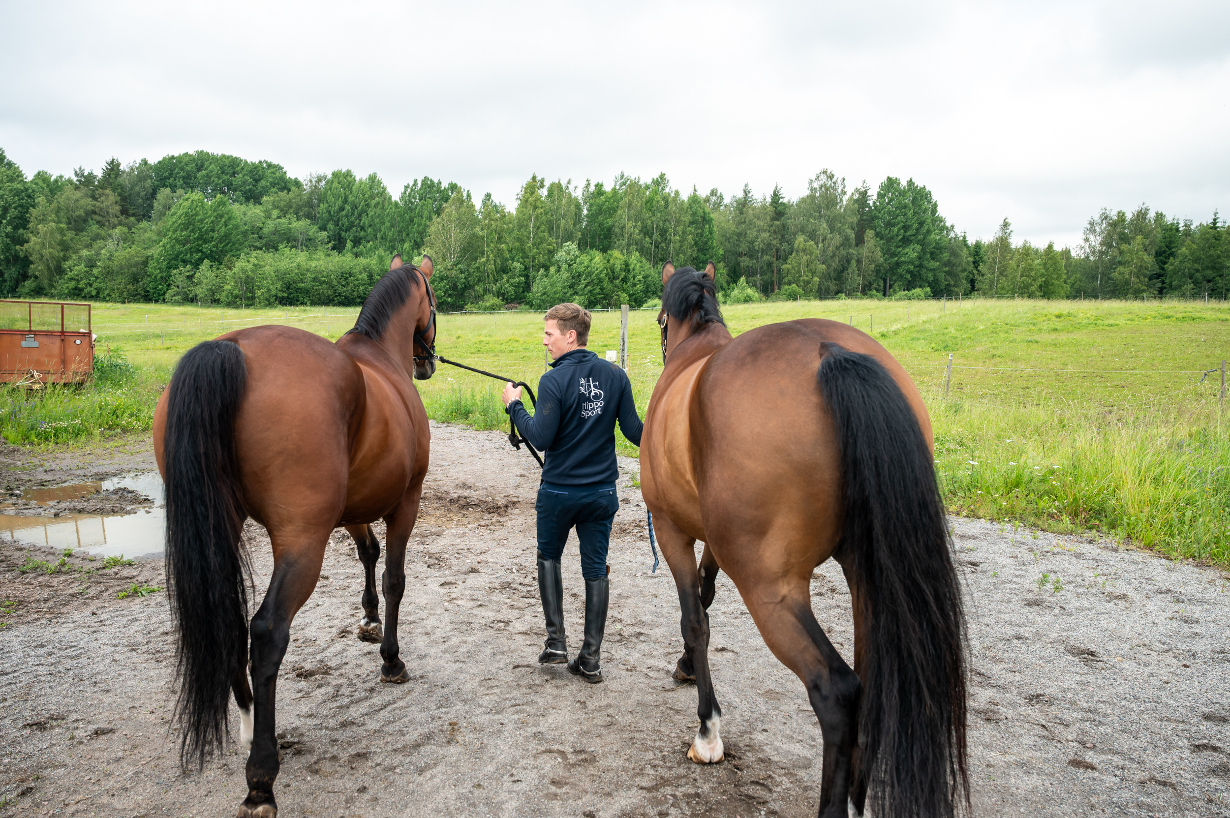 Ville Vaurio uskoo, että ihmisen ja hevosen yhdessäolo tuo paljon hyvää molemmille. 