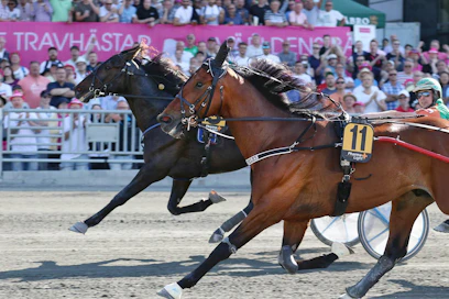 Näin lähelle ulkoa kirinyt Atupem pääsi viime Ruotsin reissullaan Alessandro Gocciadoron Volnik Du Krasia ja voittoa Elitloppet-viikonloppuna viime vuonna rattaillaan Antti Tupamäki. Nyt mitataan Åbyn Olympiaraveissa maailman huipun tasoa. Rattailla jatkaa Santtu Raitala.