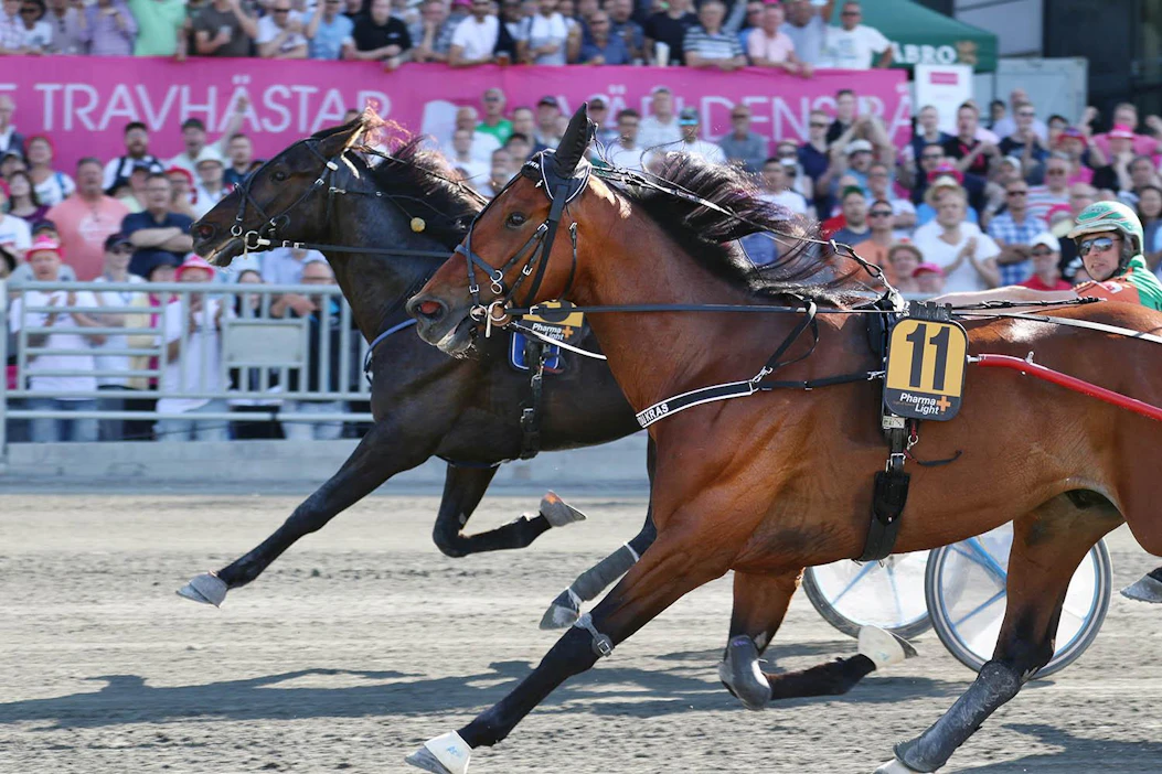 Näin lähelle ulkoa kirinyt Atupem pääsi viime Ruotsin reissullaan Alessandro Gocciadoron Volnik Du Krasia ja voittoa Elitloppet-viikonloppuna viime vuonna rattaillaan Antti Tupamäki. Nyt mitataan Åbyn Olympiaraveissa maailman huipun tasoa. Rattailla jatkaa Santtu Raitala.