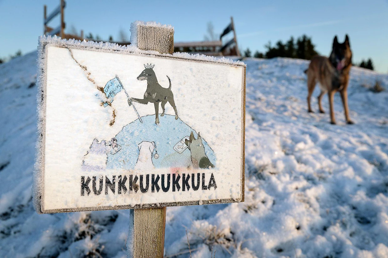 "Täällä saa juosta ja leikkiä aikuisetkin. Parasta mitä voit koiralle antaa on yhteinen aika", Rajala sanoo