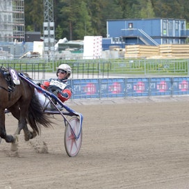 Mo Sjur palaa loukkaantumisen jälkeen kilparadoille. Ori starttaa ensimmäistä kertaa Suomessa lauantaina Teivossa. Kuvassa Mo Sjur (nro. 8) voittaa Ulf Erikssonin ajamana Gävlessä toukokuussa 2021.
