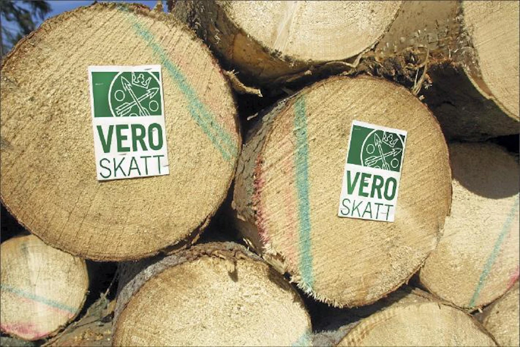 Maajussin mielestä ei ole mitään perustetta, että metsänomistaja joutuu maksamaan veroa, kun mahdollinen tulo tulee vasta 80 vuoden päästä. Kimmo Haimi
