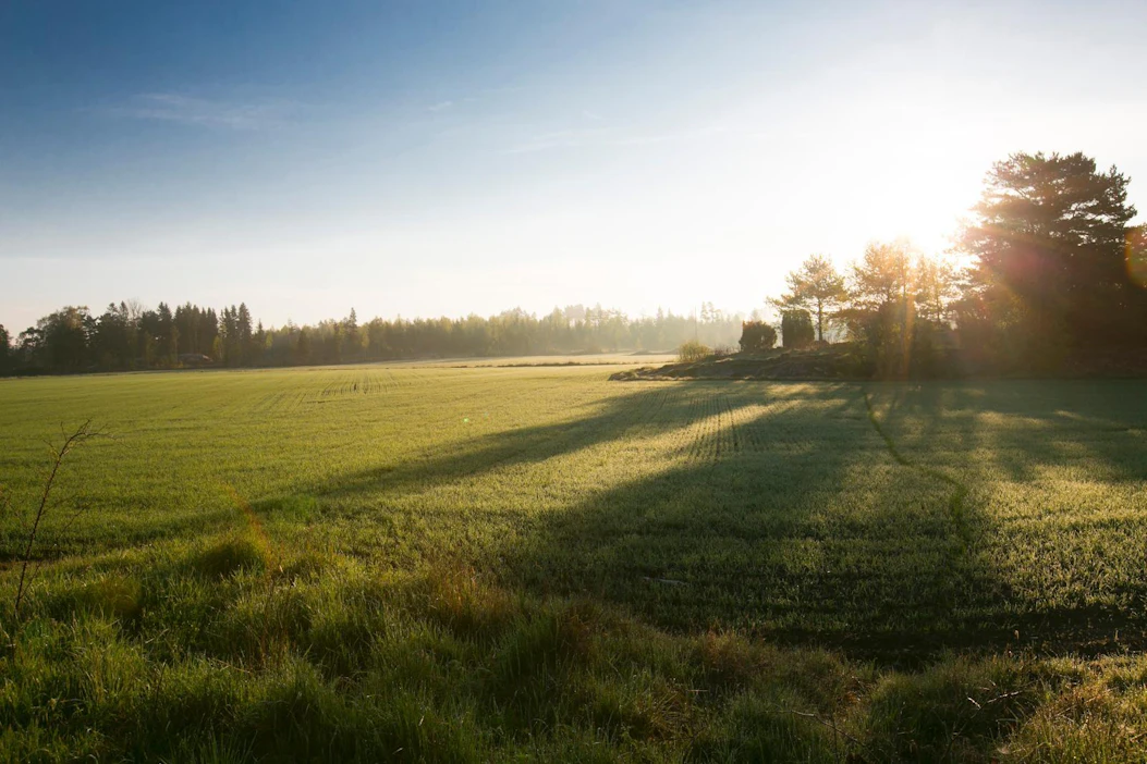 Usein jo pitkä keskustelu ulkopuolisen auttajan kanssa riittää ongelmien ensiavuksi.