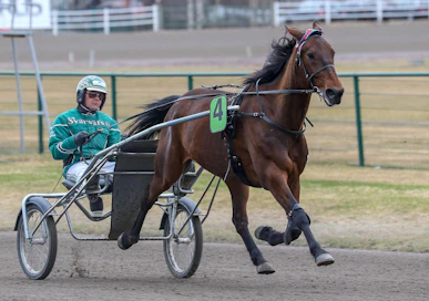 Excalibur It on Vermon T75-kierroksen ideavarma.