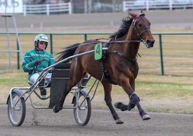 Excalibur It on Vermon T75-kierroksen ideavarma.