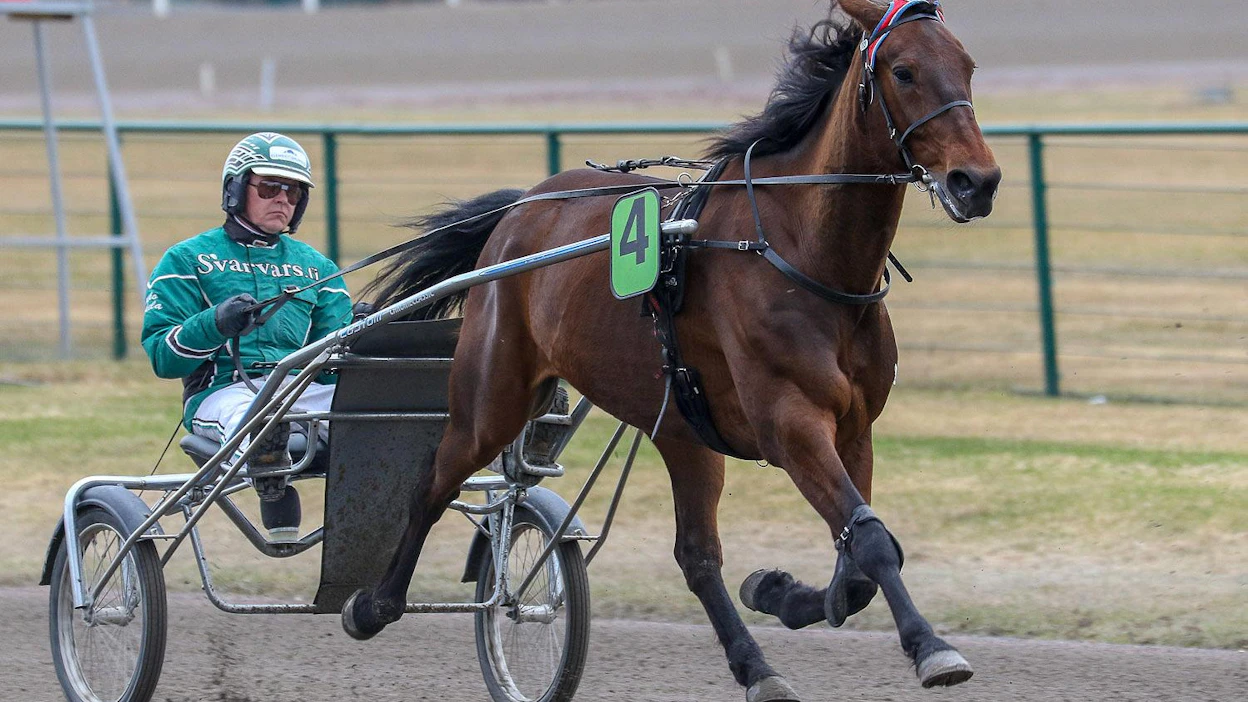 Excalibur It on Vermon T75-kierroksen ideavarma.