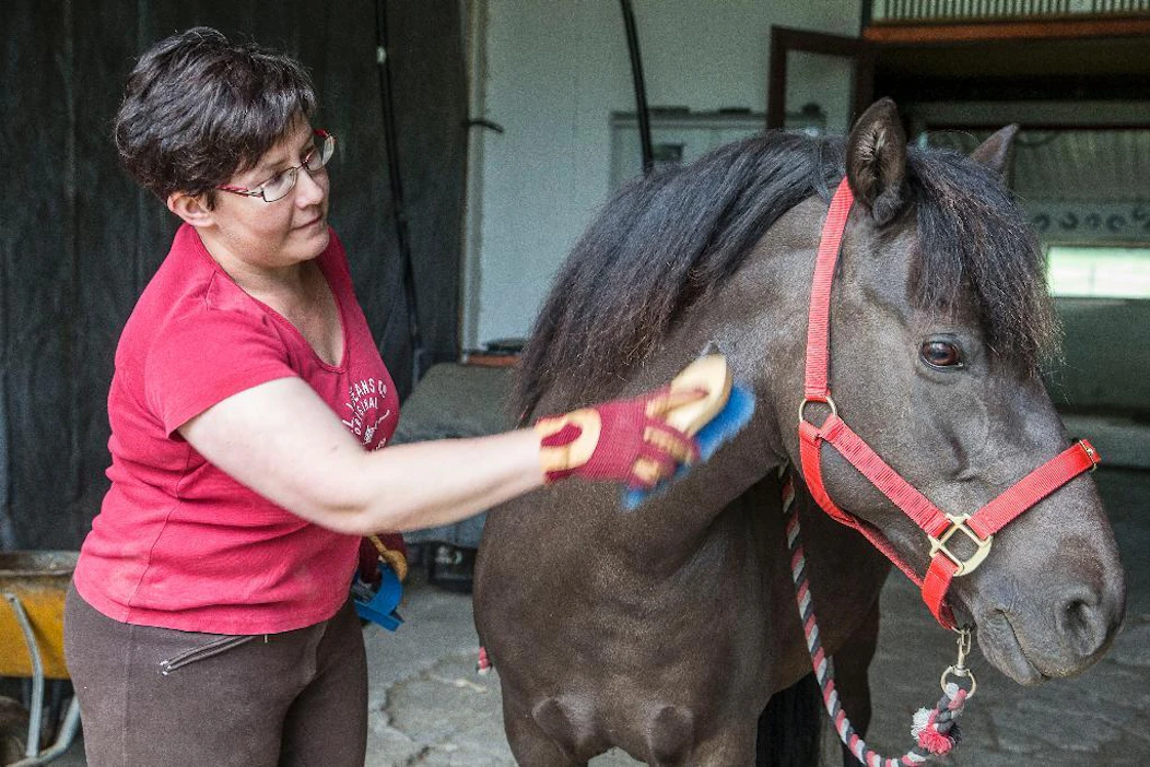 Aasa-poni toimii Anu Laamasen tärkeänä työparina. Kamera ei sitä kuitenkin oikein innosta.