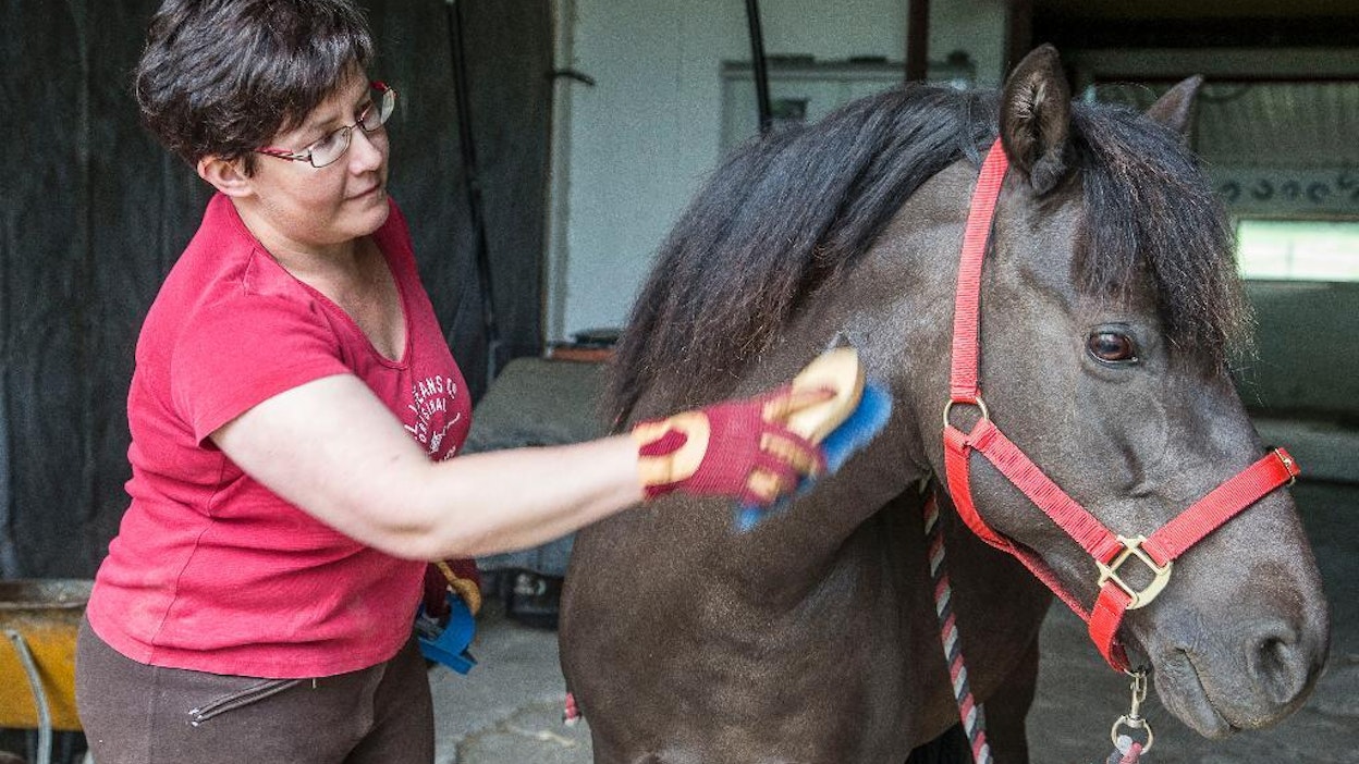 Aasa-poni toimii Anu Laamasen tärkeänä työparina. Kamera ei sitä kuitenkin oikein innosta.