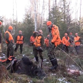Kangasniemi, Mikkeli ja Hirvensalmi tekivät kahdeksan Puula-videon sarjan. Kuvassa ollaan hirvimetsällä Iso-Sarvulin saaressa.