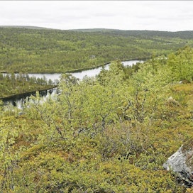 Utsjoen Leppälän tilalta kotoisin oleva Viljo Valle vastustaa jyrkästi timanttikaivoshanketta. Karelian Diamond Resources -yhtiön varausalue sijaitsee osin hänen perikuntansa mailla. Taustalla Vanhankentänjärvi, josta vesi laskee Utsjoen kautta Tenoon. Pekka Fali