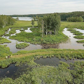 Monivaikutteinen Riihilahden kosteikko Polvijärvellä kuvattiin viime kesänä.