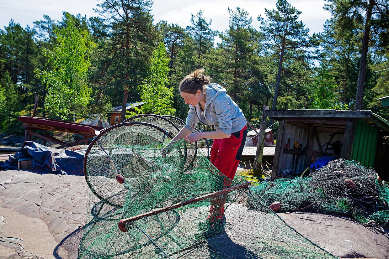 Marie Kellgren levittää yhden pienimmistä rysistä kalliolle. Uudemmat ponttoonirysät vaativat vähemmän lihasvoimaa.
