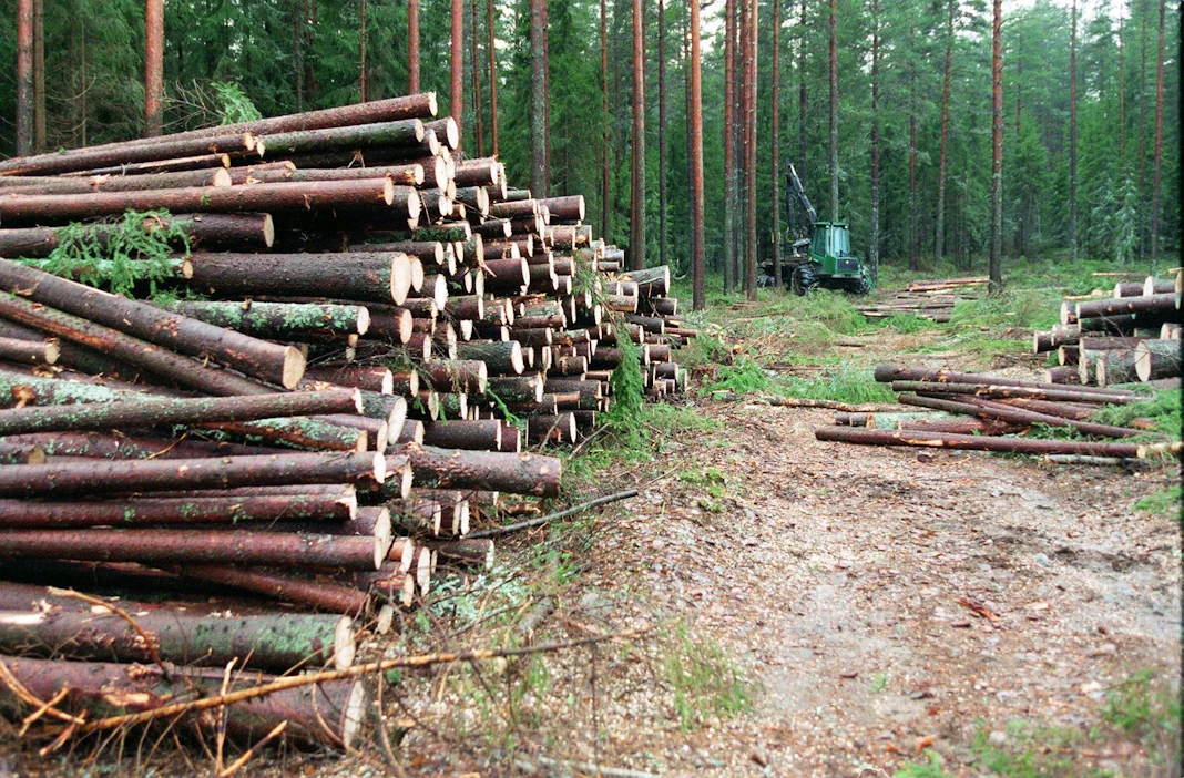 Norja kasvattaa merkittävästi uusiutuvan ja ennen kaikkea puuperäisen energian osuutta liikennepolttoaineissa.