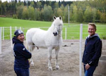 Anniina ja Samuel Uusitalolle hevoset ovat olleet maatalouden sivuelinkeino vuoden alusta lähtien.