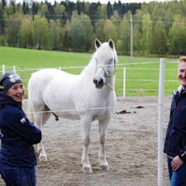 Anniina ja Samuel Uusitalolle hevoset ovat olleet maatalouden sivuelinkeino vuoden alusta lähtien.