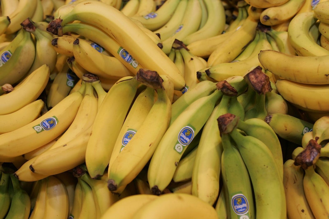 Yle: Panamantauti levisi Etelä-Amerikkaan ja uhkaa maailman  banaanintuotantoa - Uutiset - Maaseudun Tulevaisuus
