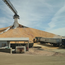 Merkittävä osa Yhdysvaltojen maissisadosta käytetään etanolin tuotantoon.
