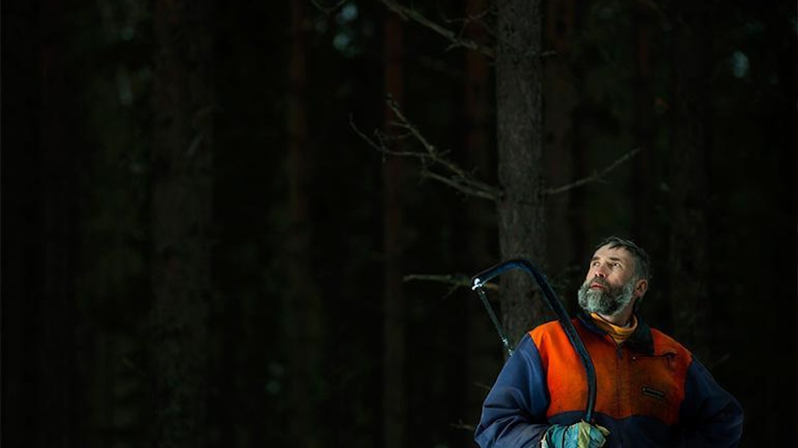 Hiihtouraltaan Mietaa muistaa, että Itä-Suomessa metsät ovat jylympiä. Mutta on niissä katsomista Kurikassakin.