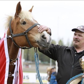 Mies ja hänen hevosensa. Yli kymmenen vuoden yhteistyö on opettanut Luomuttaren ja Mikko Uusimäen lukemaan toisiaan ja luottamaan toisiinsa. Työ palkittiin nyt mestaruudella. Satu Pitkänen