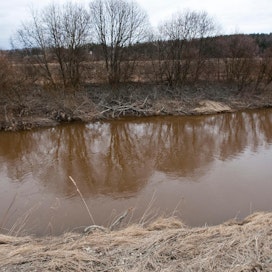 Kouranjoen vesi on osittaisessa käyttökiellossa. Kuvan joki ei liity tapaukseen, arkistokuva.