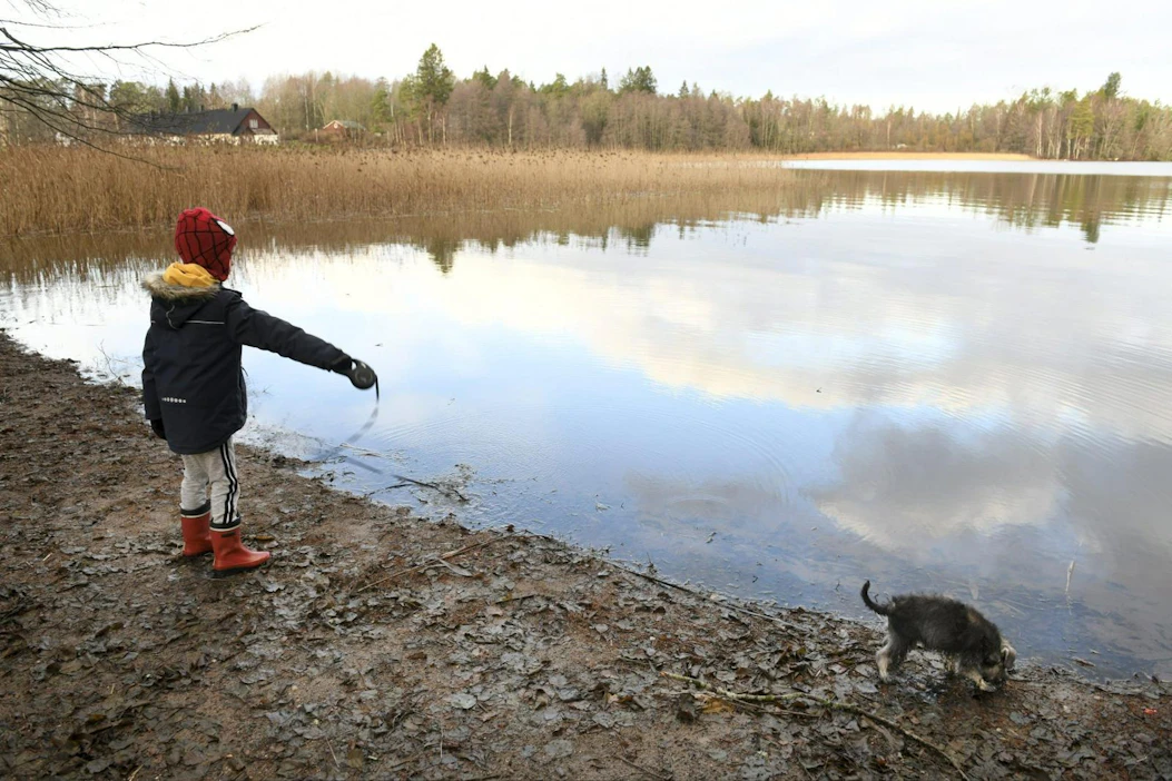 Suomen järvivesien jäätymistä on tutkittu jo pitkään, joten muutoksia on helppo havainnoida. Lehtikuva / Heikki Saukkomaa