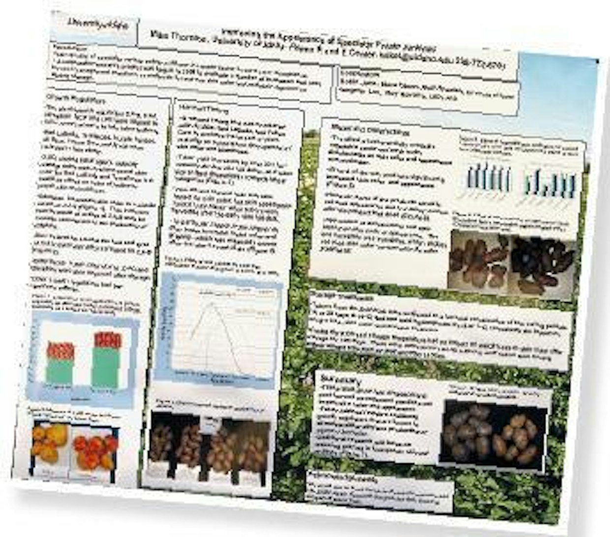 2. EAPR-konferenssin posterinäyttely antoi hyvän kuvan tärkeimmistä tutkimusteemoista. Perunan laadun parantaminen on jatkuva haaste. Tässä jopa esitetään, miten kasvunsääteillä ja muilla nikseillä voidaan muuttaa perunan ulkonäköä houkuttelevammaksi.